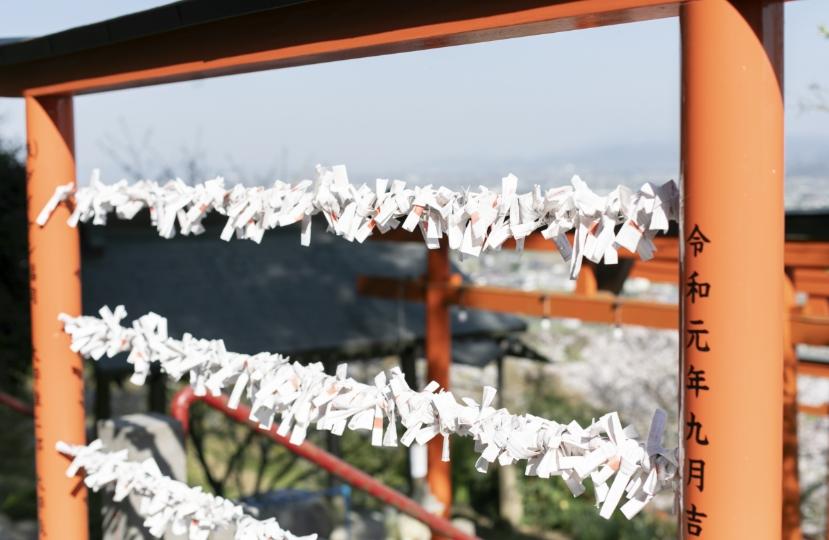 The extending torii gate and amazing view are something to see at Ukiha Inari Shrine-4