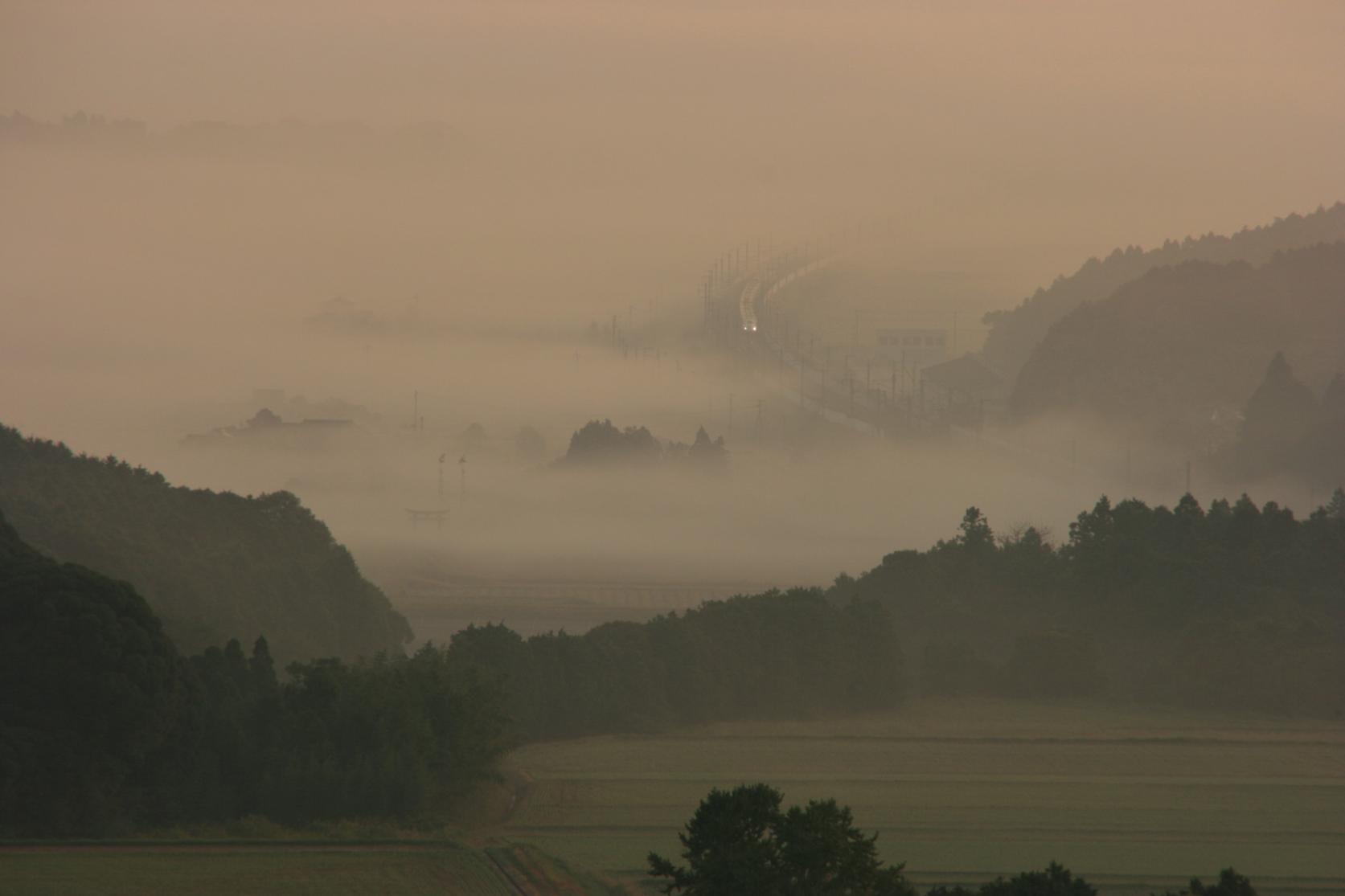 清水寺の雲海-4