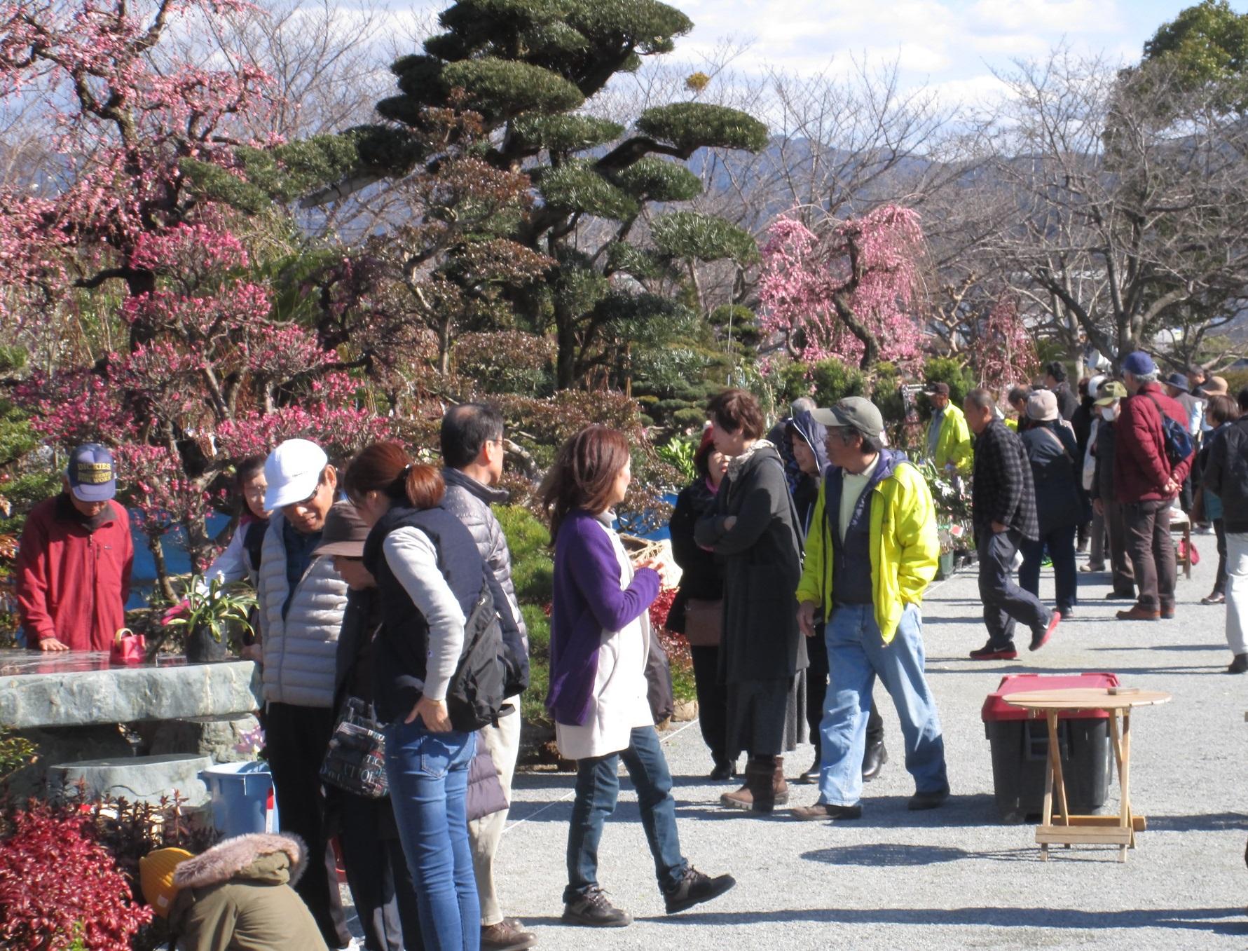 久留米植木まつり-1