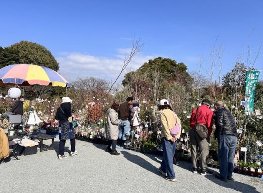 久留米植木まつり-0