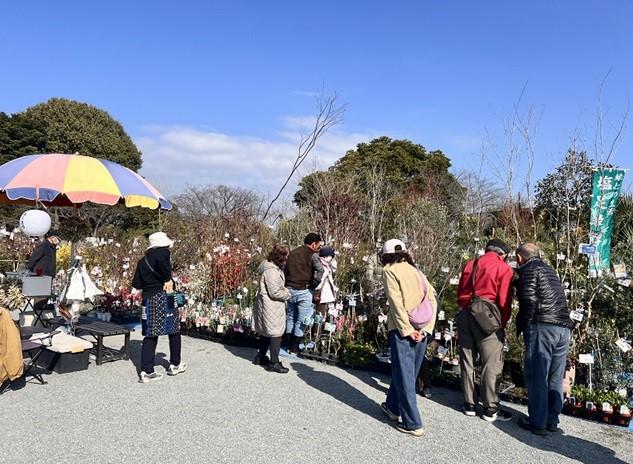 久留米植木まつり-1