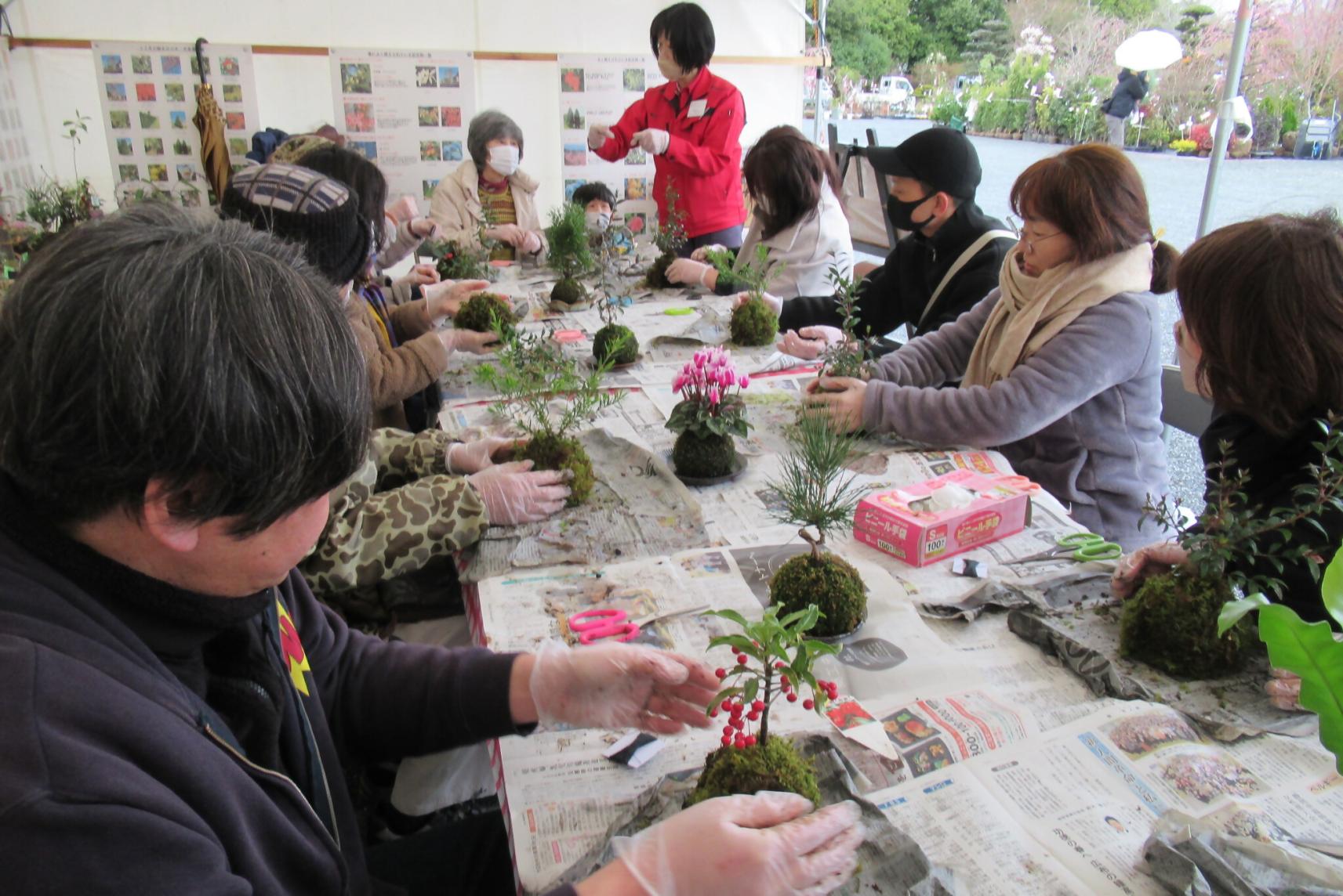 久留米植木まつり-3