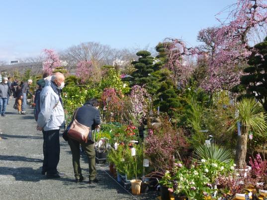 久留米植木まつり-1