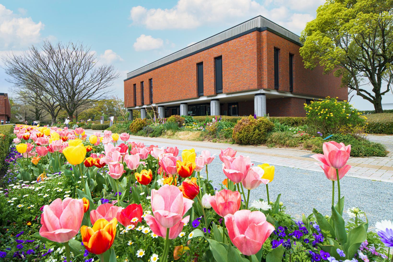 【石橋文化センター 】チューリップまつり 2026-1