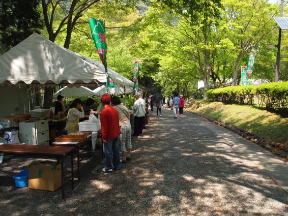 しゃくなげ祭り-0
