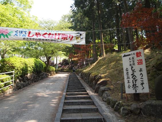 しゃくなげ祭り-2