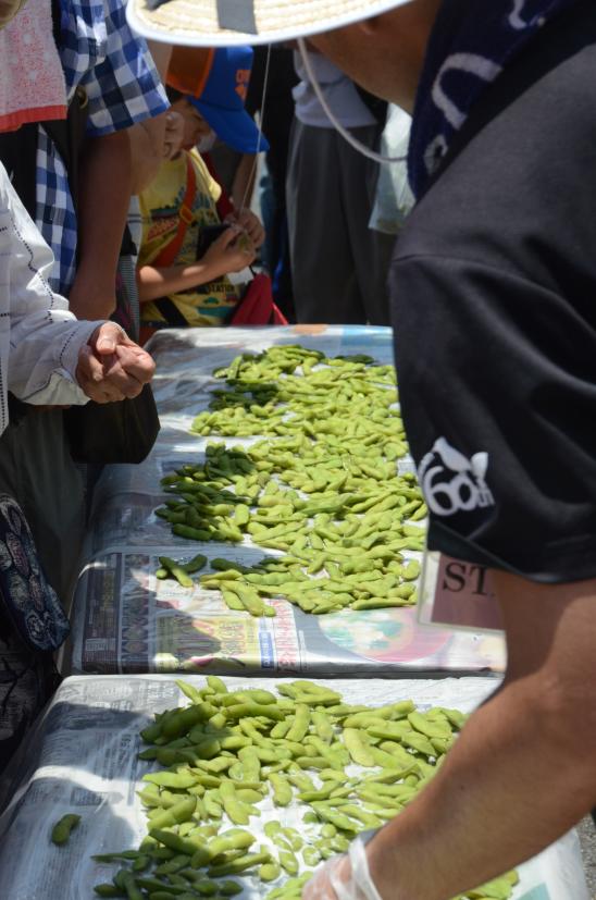 大刀洗えだまめ収穫祭-1