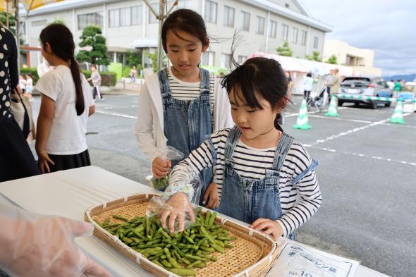 大刀洗えだまめ収穫祭-3