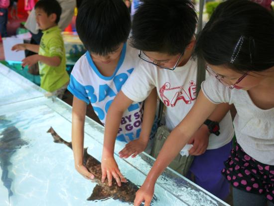 見て、触れて、学べる体験型水族館 みんなで遊ぼう 福岡タワー おさかな遊園地-3