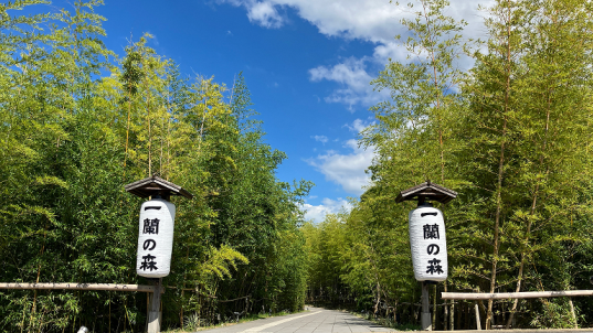 一蘭の森 糸島-2