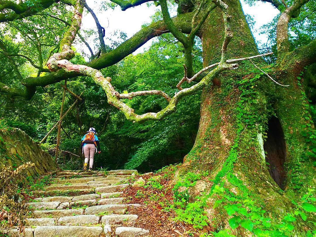 Fukuoka Prefecture’s 5th Kyushu Olle!! (Chikuho/Kawara Course)