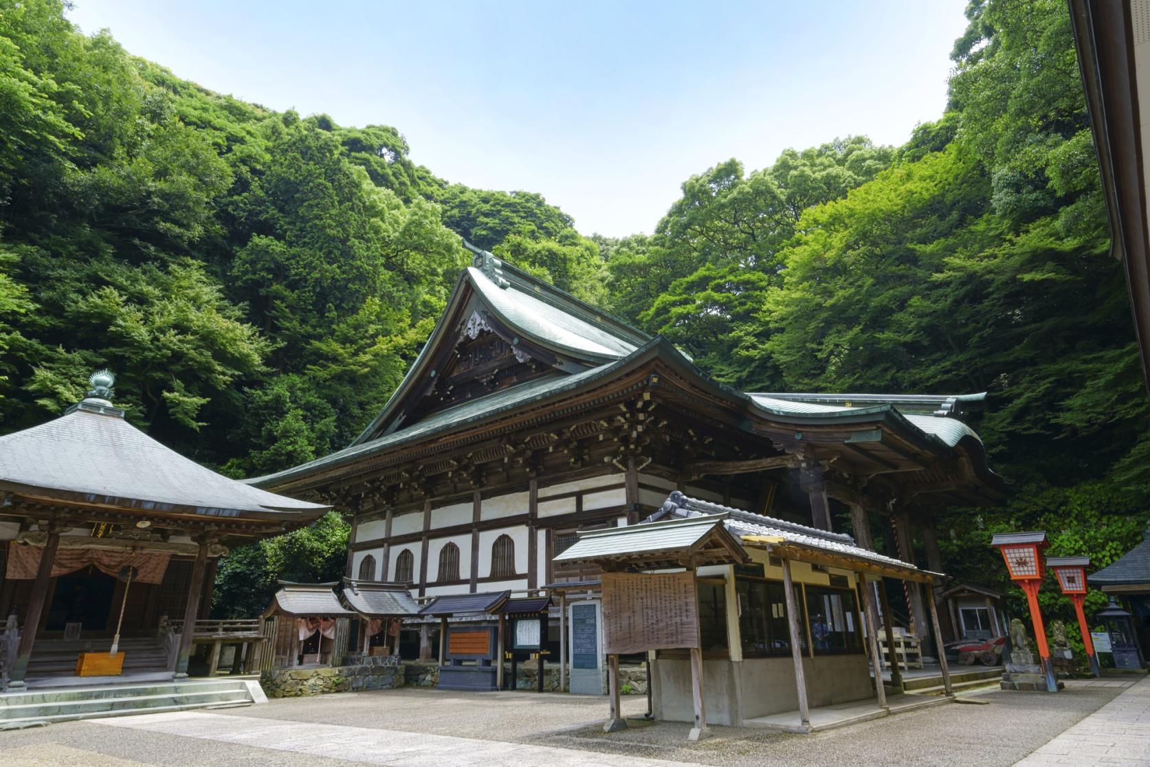 神宿る竹林（九州オルレみやま・清水山コース）-2