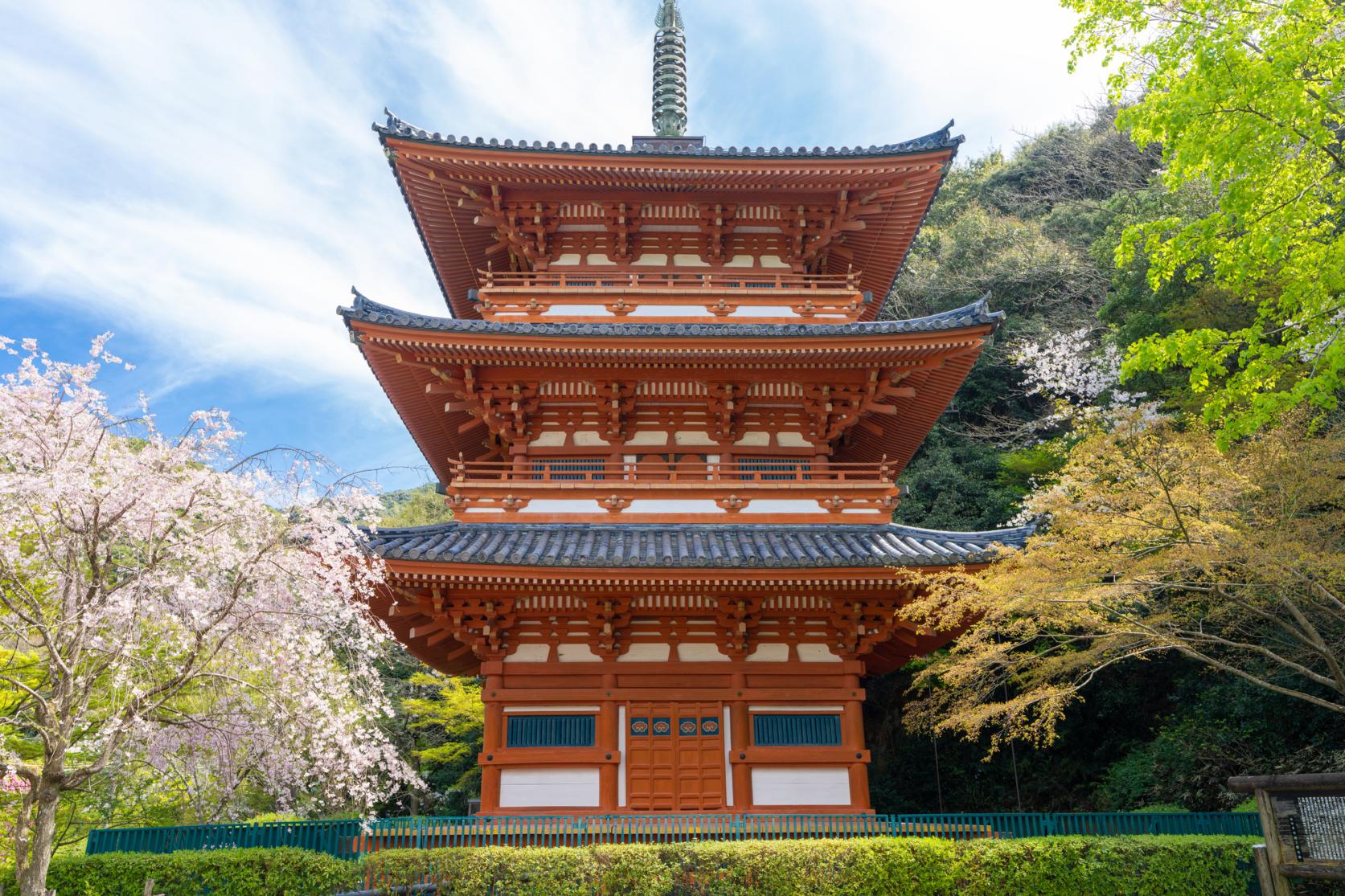 神宿る竹林（九州オルレみやま・清水山コース）-3