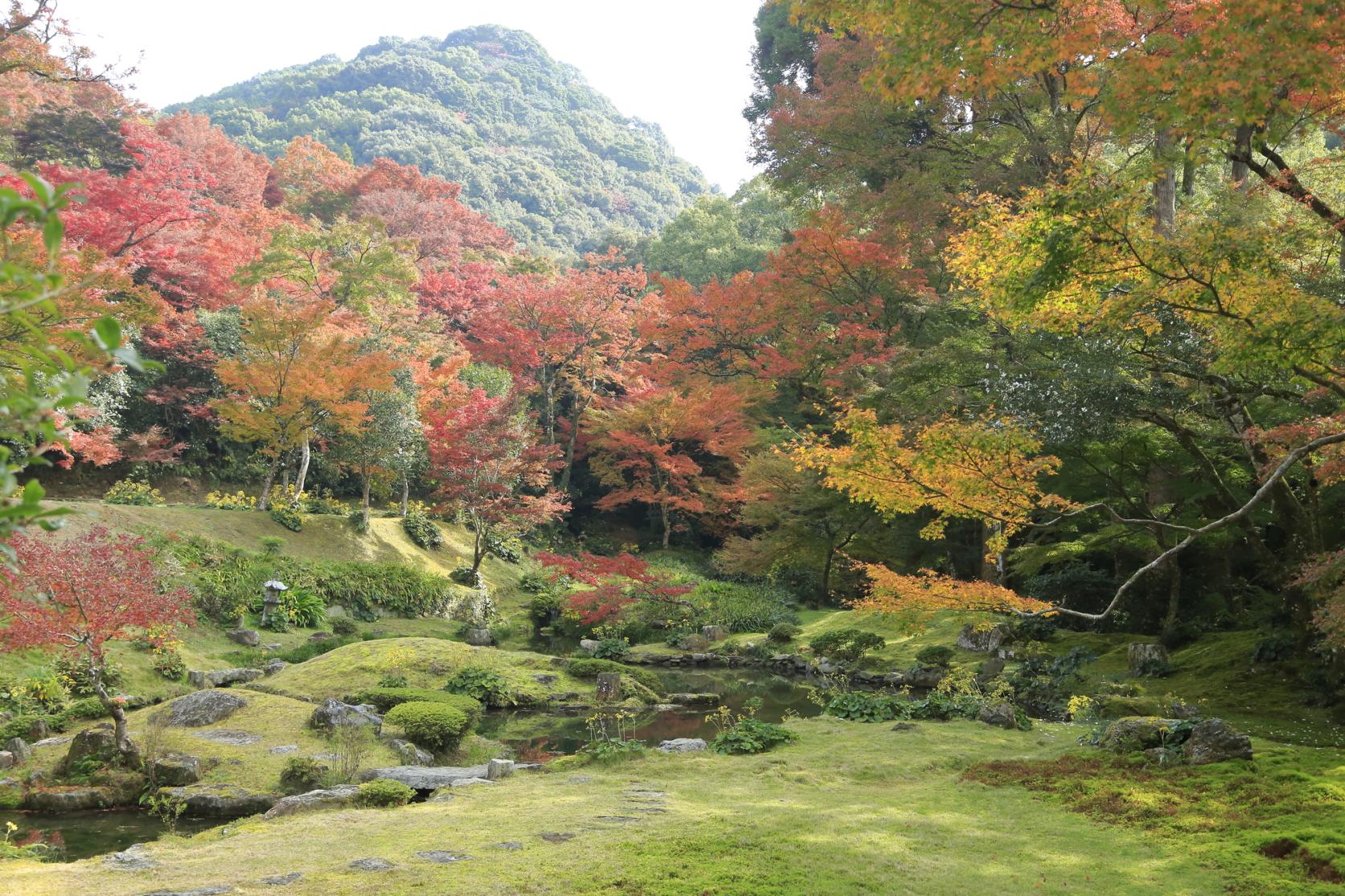 神宿る竹林（九州オルレみやま・清水山コース）-4