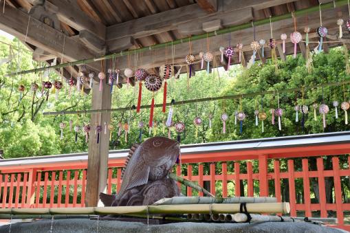 Cleanse yourself with the water from the mouth of a sea bream Touka Ebisu-jinja Shrine-0