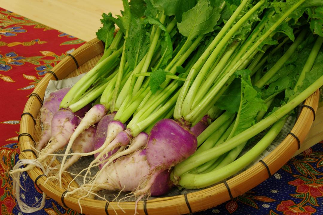 Traditional vegetables grown only in this region   Keya Turnips