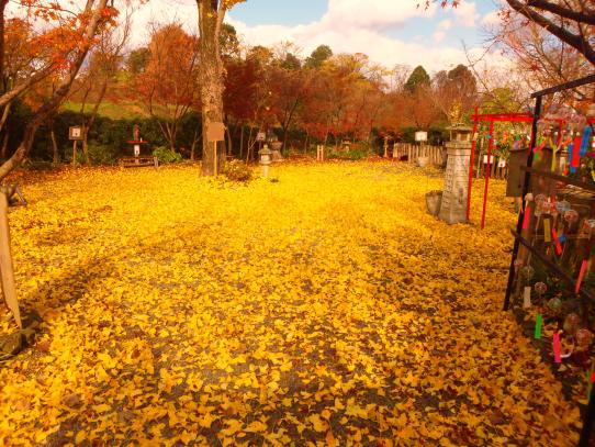 Autumn in Mitsui Temple (Byodoji Temple)-3