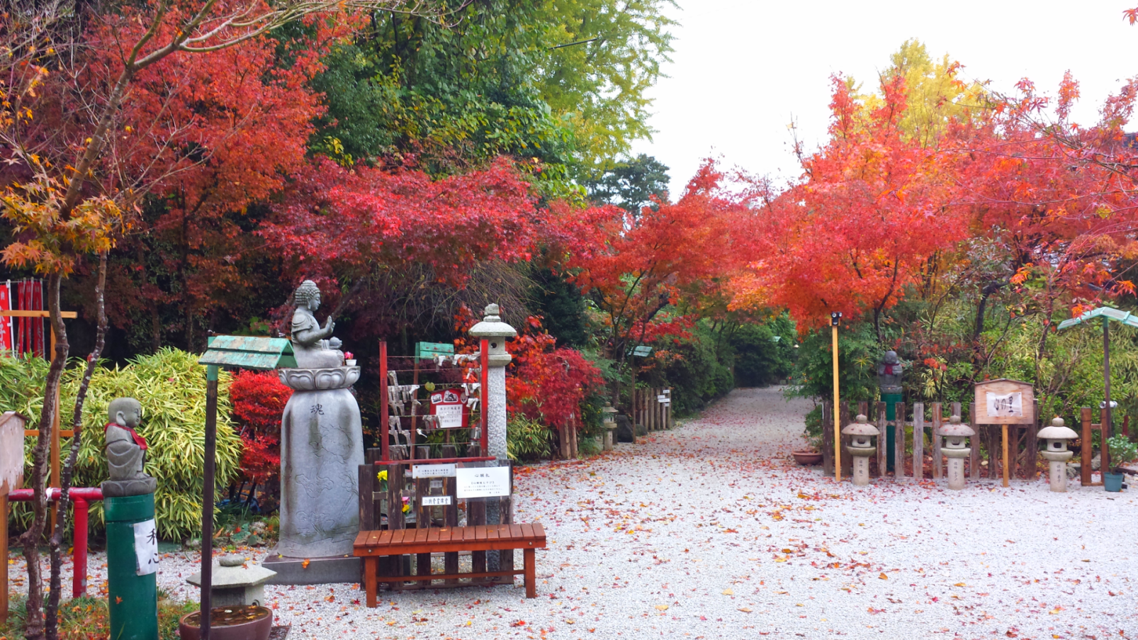 三井寺（平等寺）の紅葉