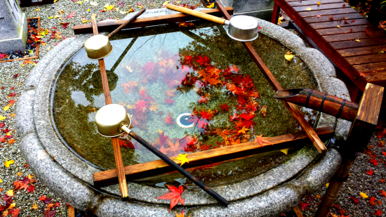 三井寺（平等寺）の紅葉-4