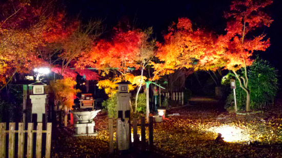 Autumn in Mitsui Temple (Byodoji Temple)-2