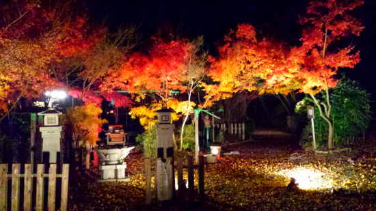 三井寺（平等寺）の紅葉-2