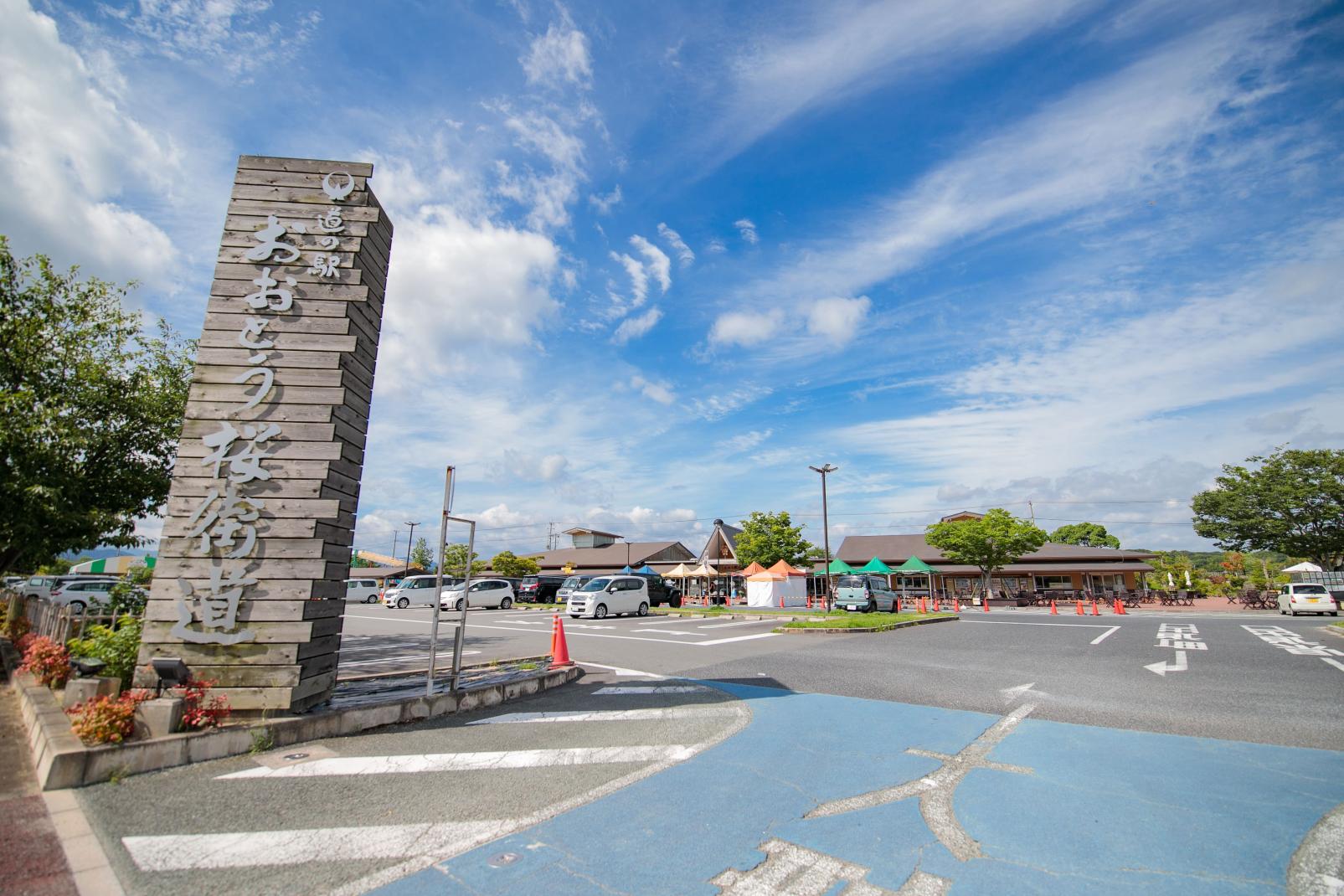 道路休息站大任櫻街道-5