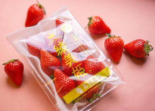 ひろかわ苺まつり-0