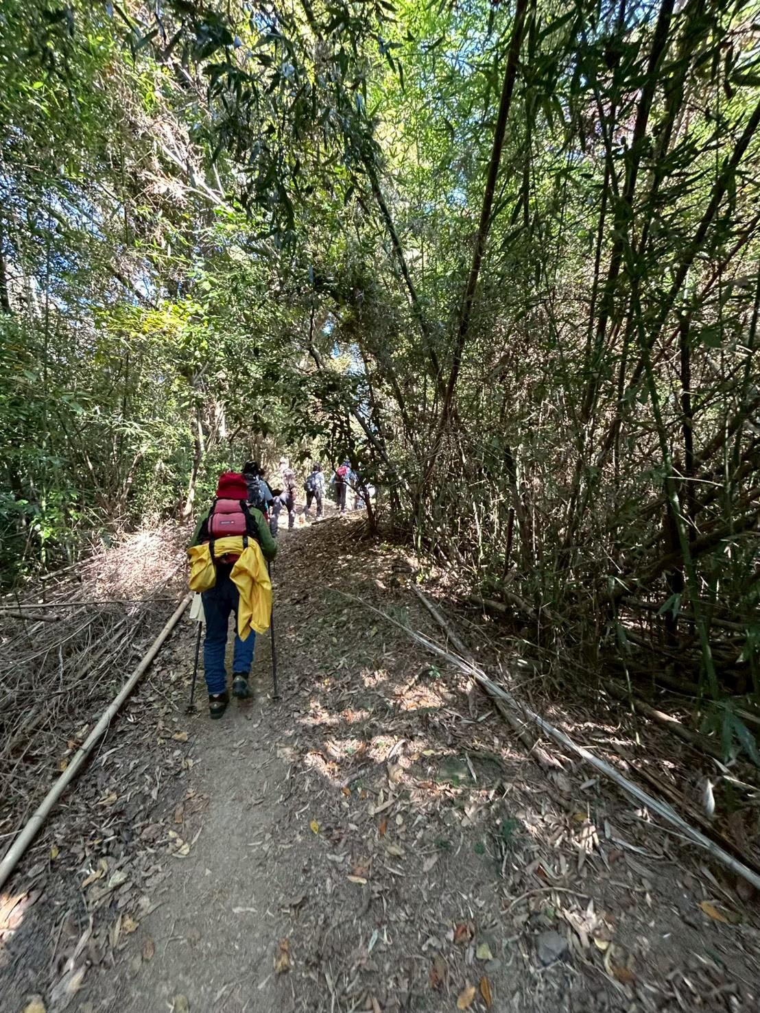 宮地嶽自然歩道トレッキング-1