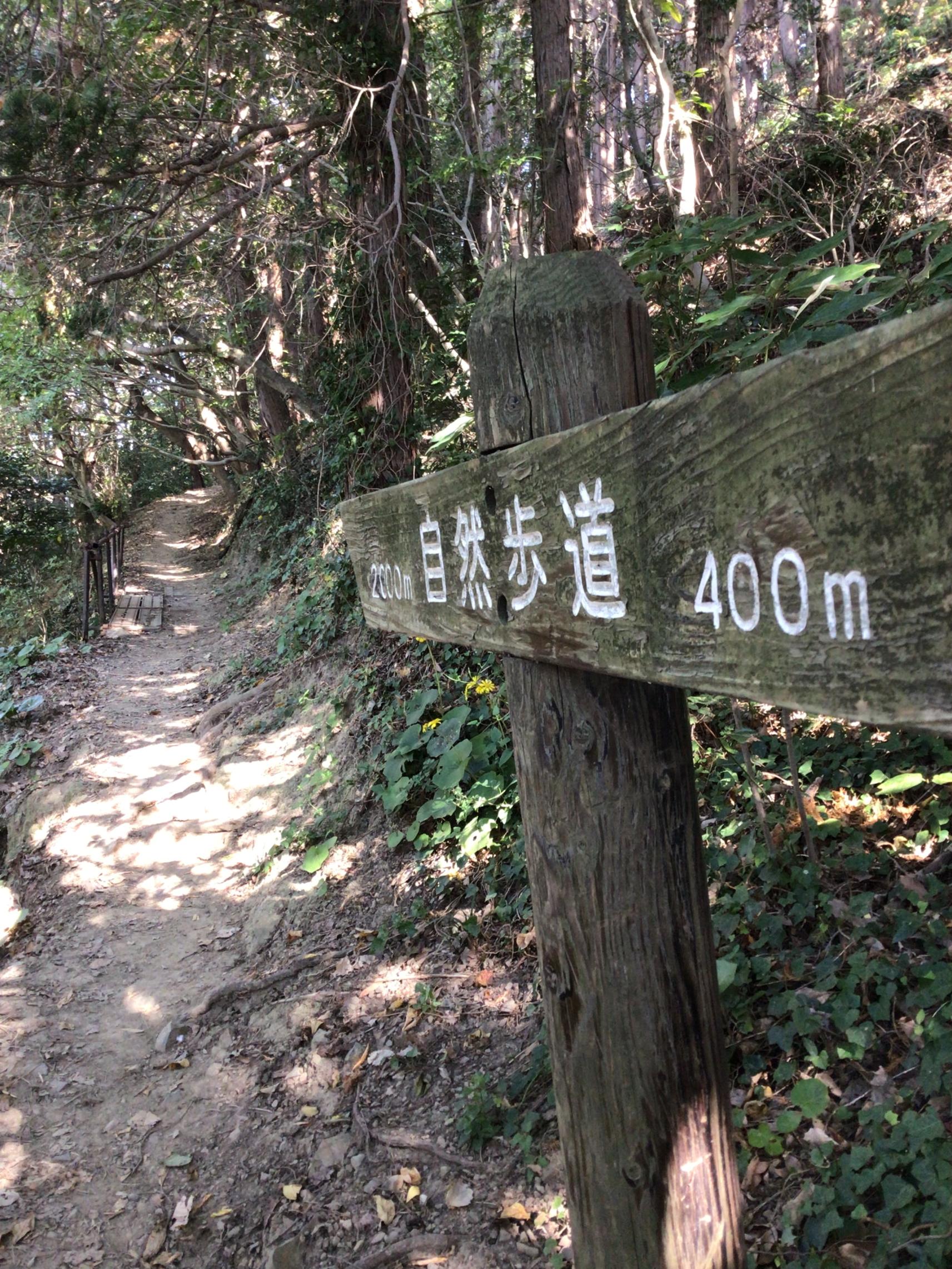 宮地嶽自然歩道トレッキング