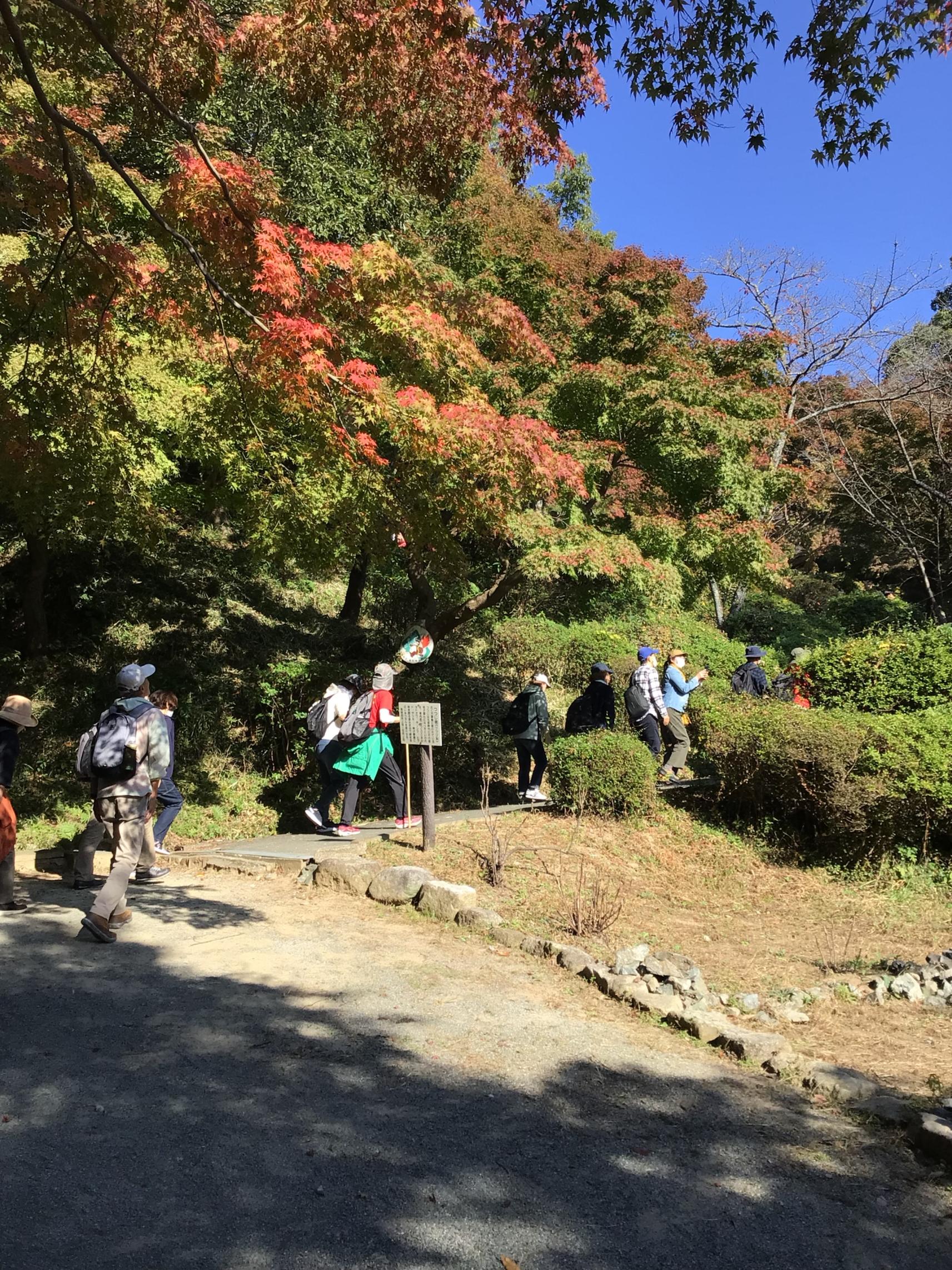 宮地嶽自然歩道トレッキング-5