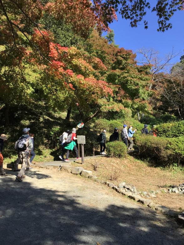 宮地嶽自然歩道トレッキング-8