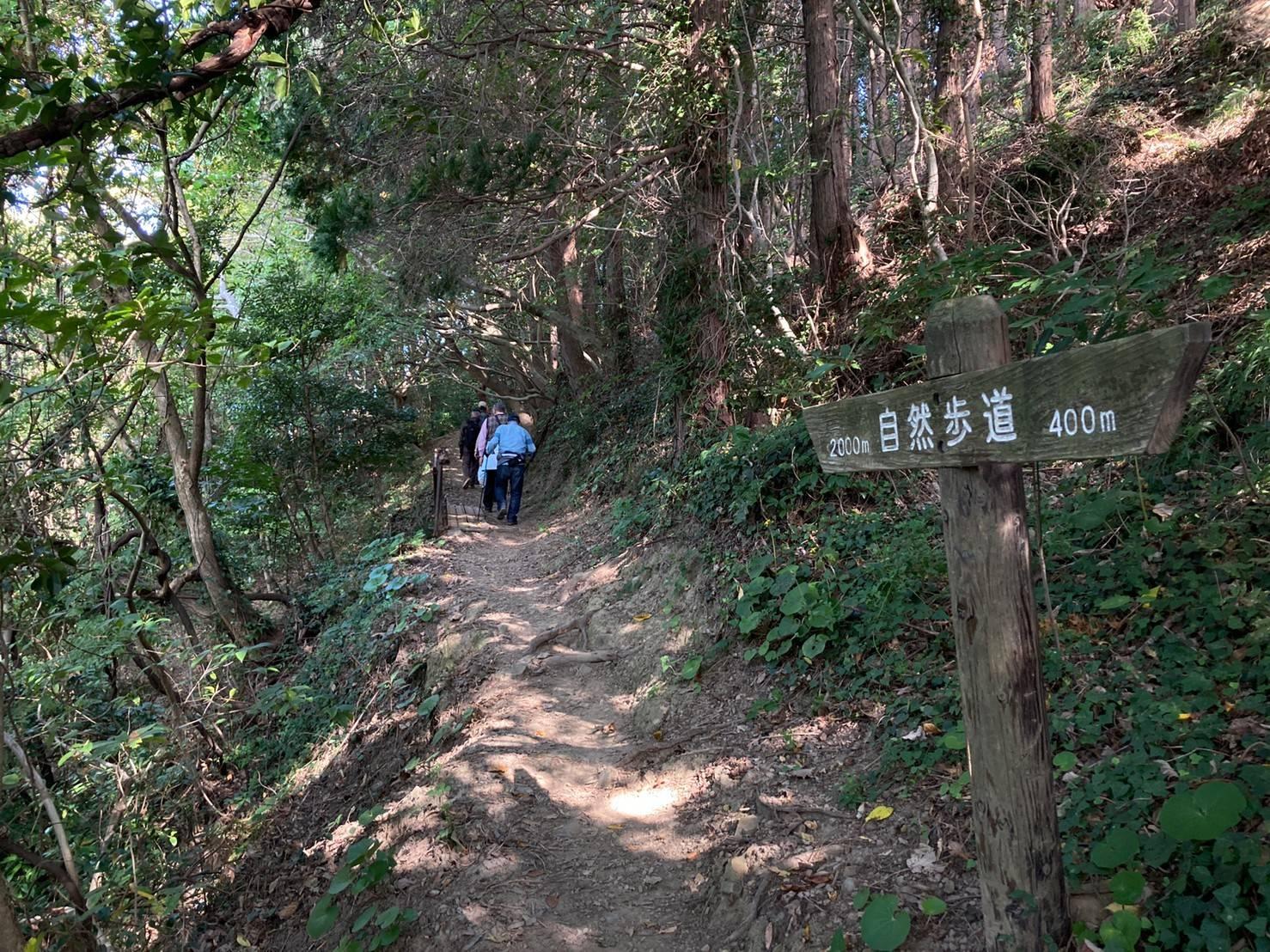 宮地嶽自然歩道トレッキング-4