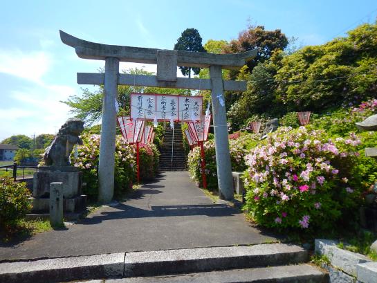 宝福寺山つつじ公園-0