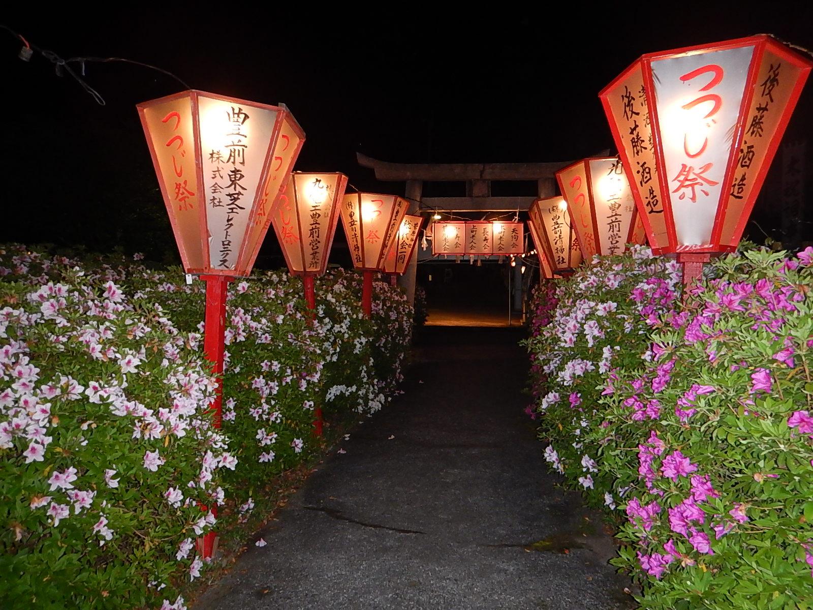 宝福寺山つつじ公園-4
