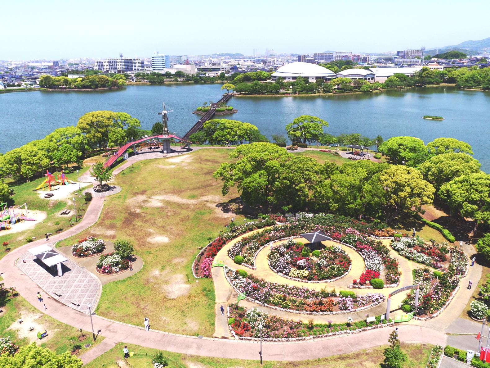 【駕与丁公園】粕屋町バラまつり-1