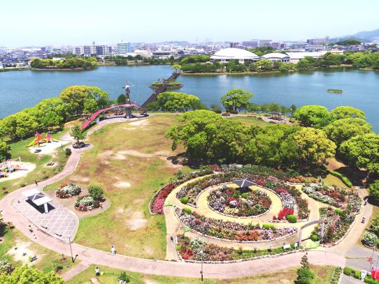 【駕与丁公園】粕屋町バラまつり-0