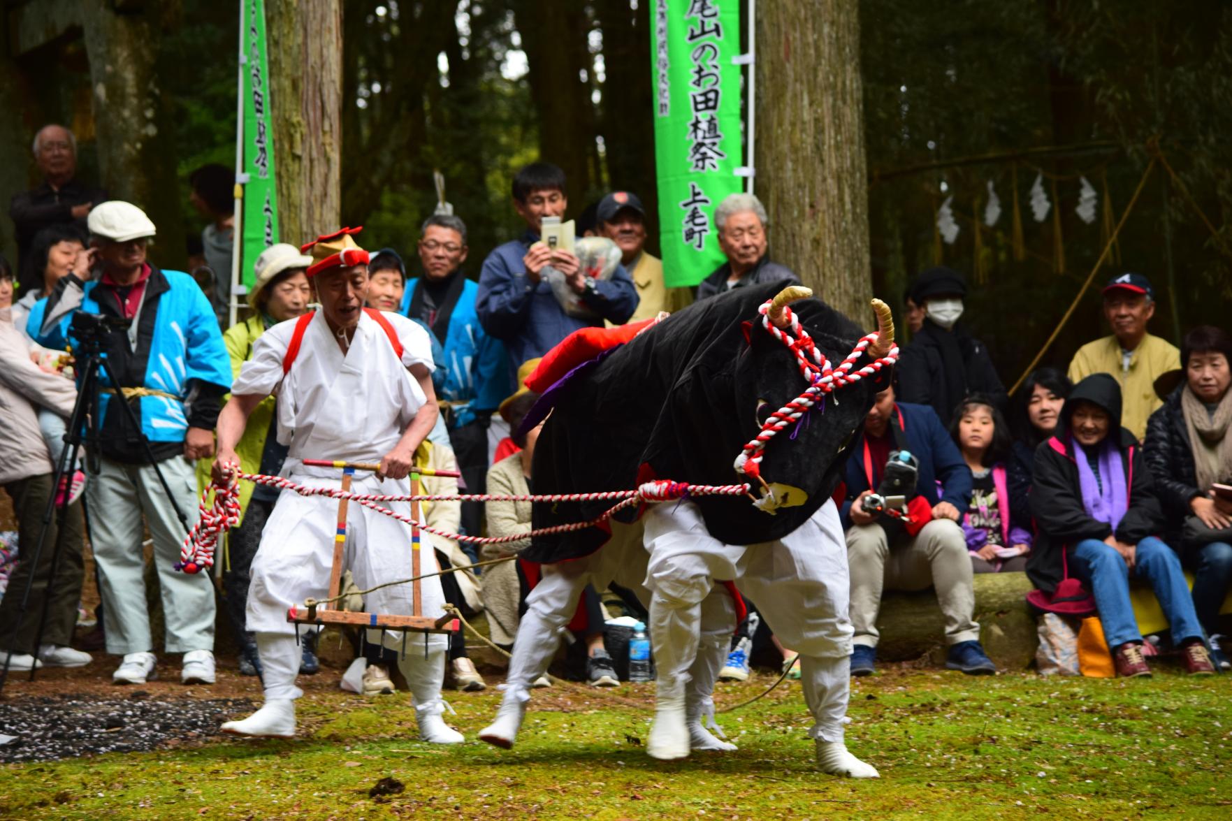 松尾山のお田植祭