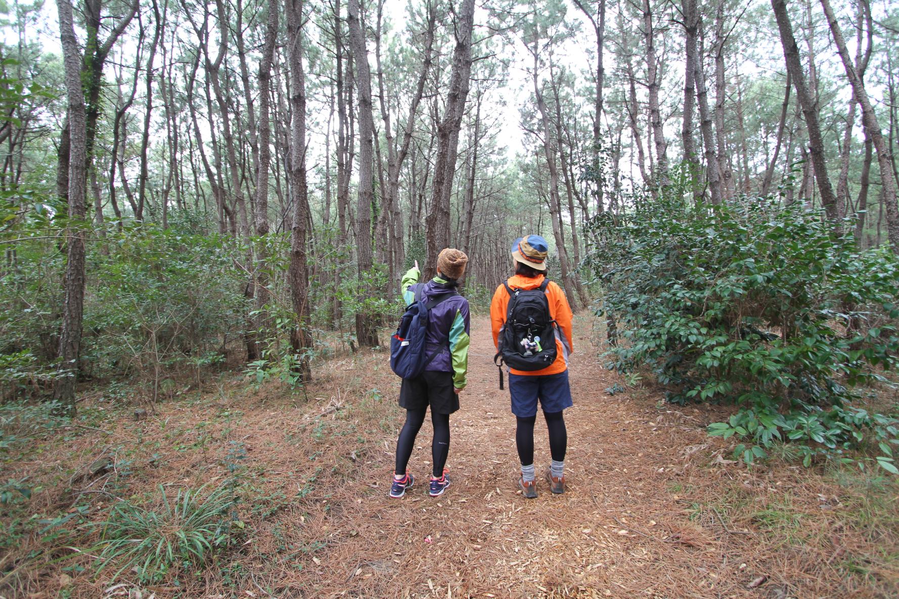 【九州オルレ】新宮・立花コース（旧　福岡・新宮コース）-2