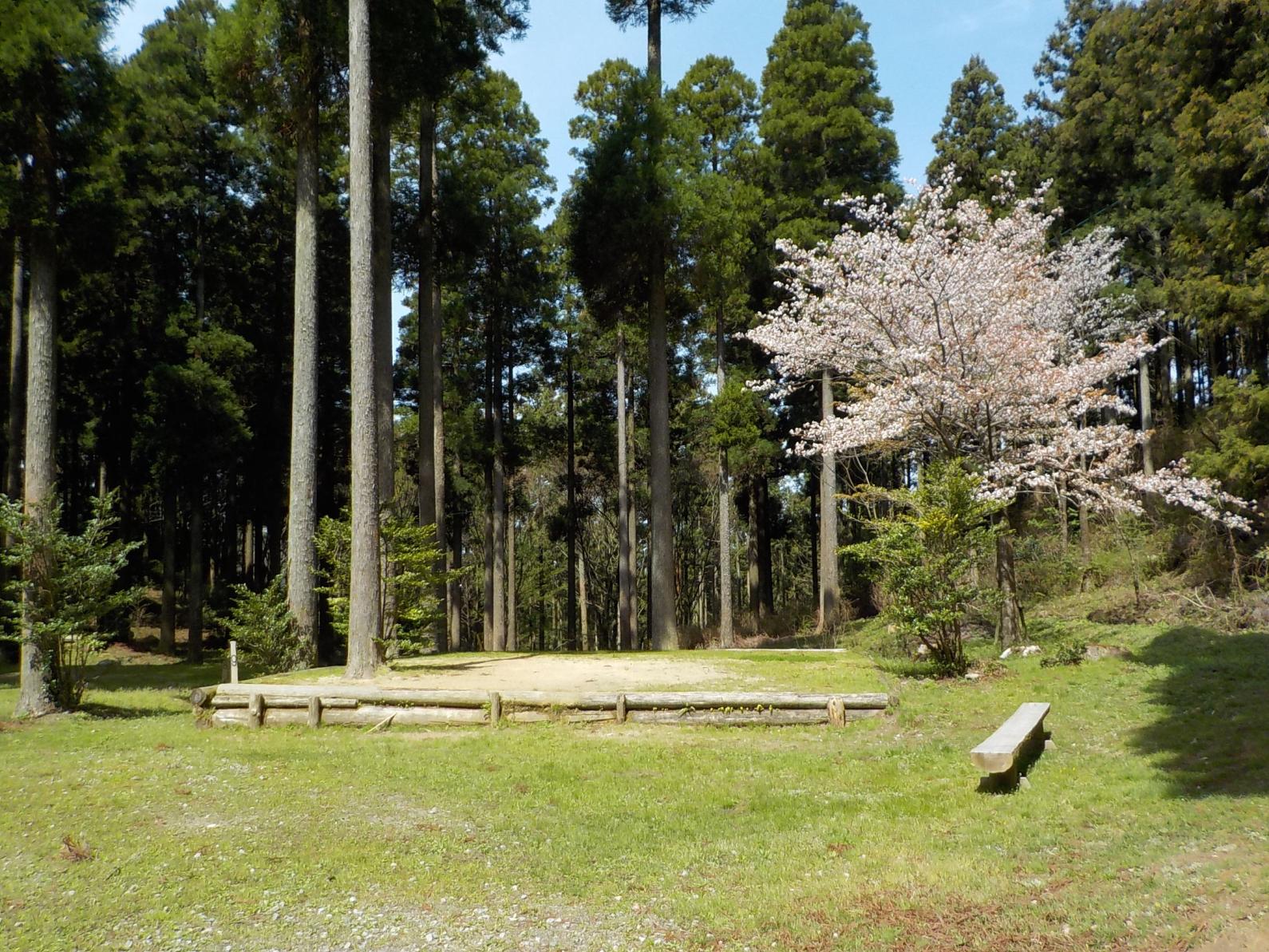 真名子木香樂園-2