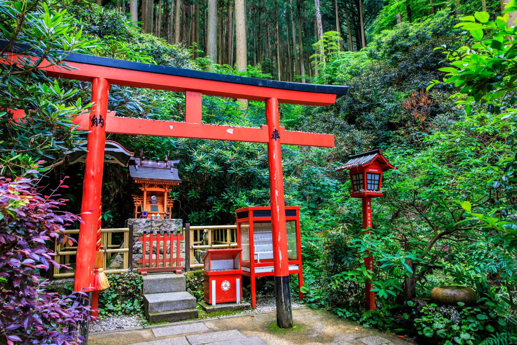 南蔵院-5