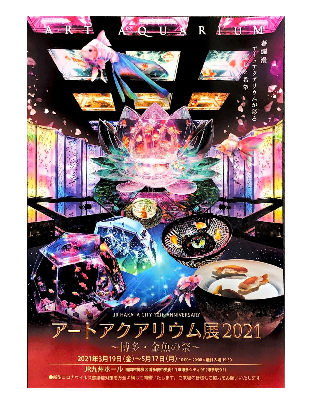 アートアクアリウム展〜博多・金魚の祭〜-1