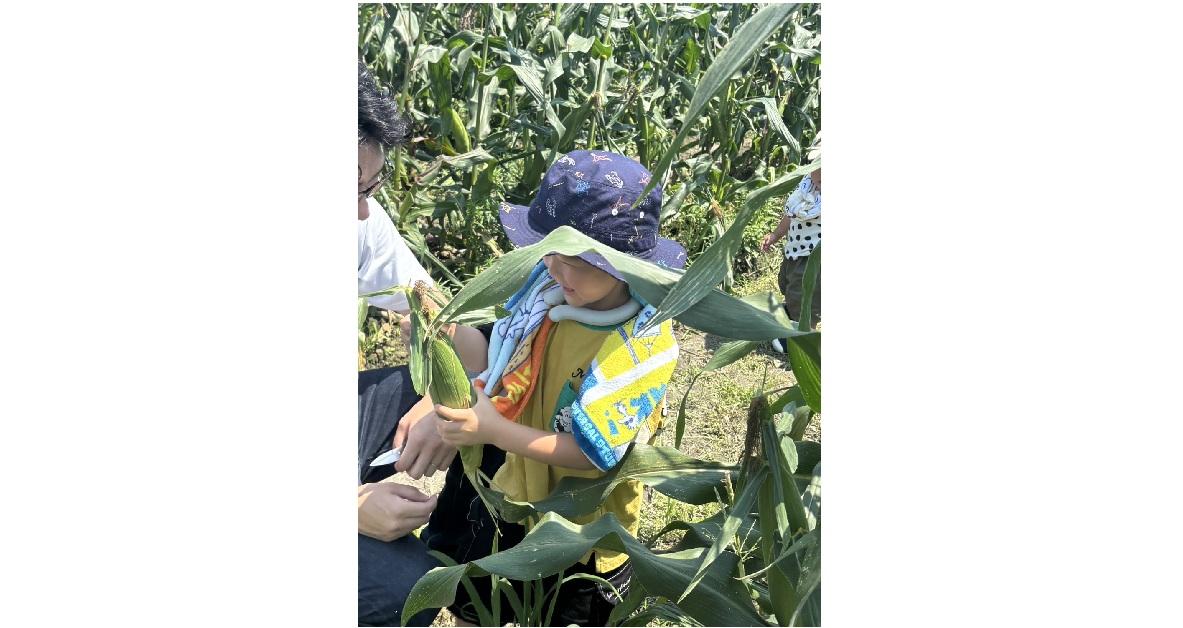 狩ろうぜみやま トウモロコシ狩り2026-9