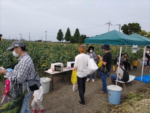 狩ろうぜみやま　とうもろこし狩り-9