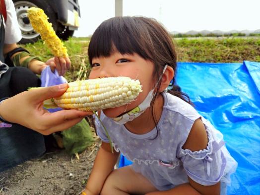 狩ろうぜみやま トウモロコシ狩り2025-0