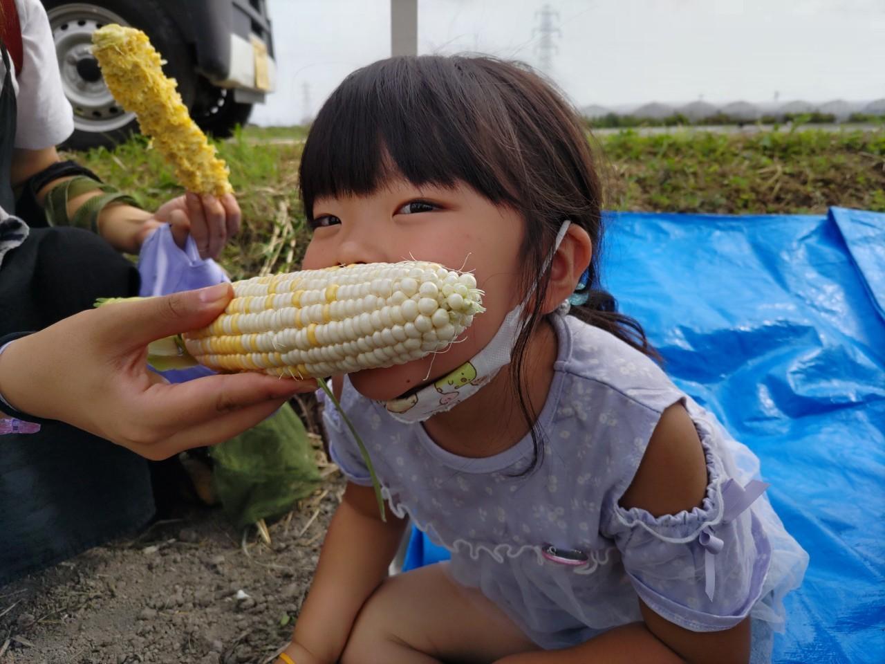 狩ろうぜみやま　とうもろこし狩り