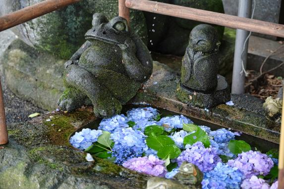 Nyoirinji Temple(Frog Temple) Wind Bell Festival-8