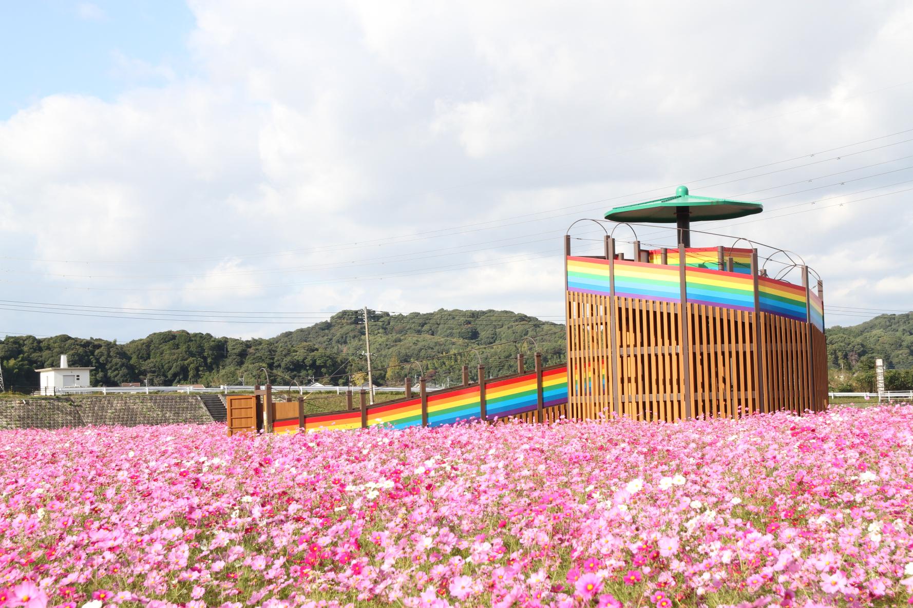 おおとう花公園