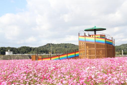 おおとう花公園-0