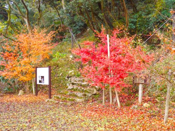 Kanmabu Park and its Fall Foliage-2