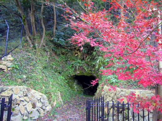Kanmabu Park and its Fall Foliage-1